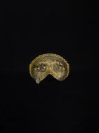 Crainte 18k Gold