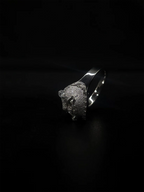 Crainte Silver